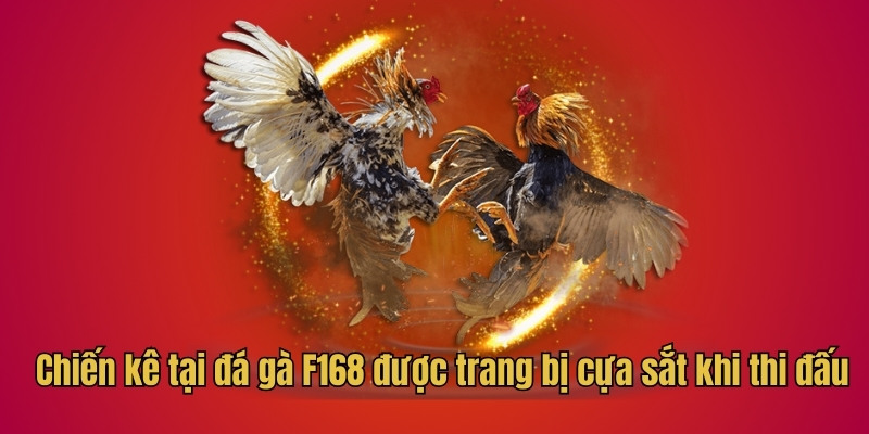 Chiến kê tại đá gà F168 được trang bị cựa sắt khi thi đấu