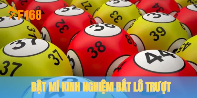 Kinh nghiệm bắt lô trượt thắng đến 99% cho bạn