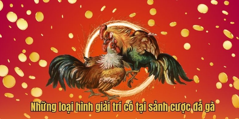 Những loại hình giải trí có tại sảnh cược đá gà